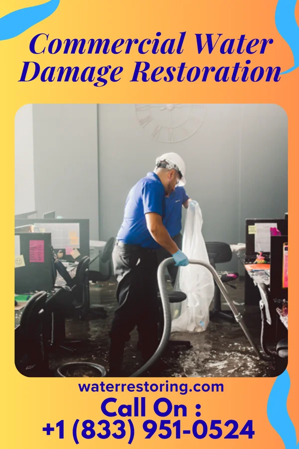 Commercial Water Damage Restoration in Mineola, TX
