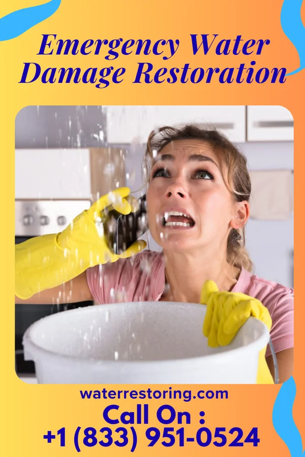Emergency Water Damage Restoration in Mineola, TX