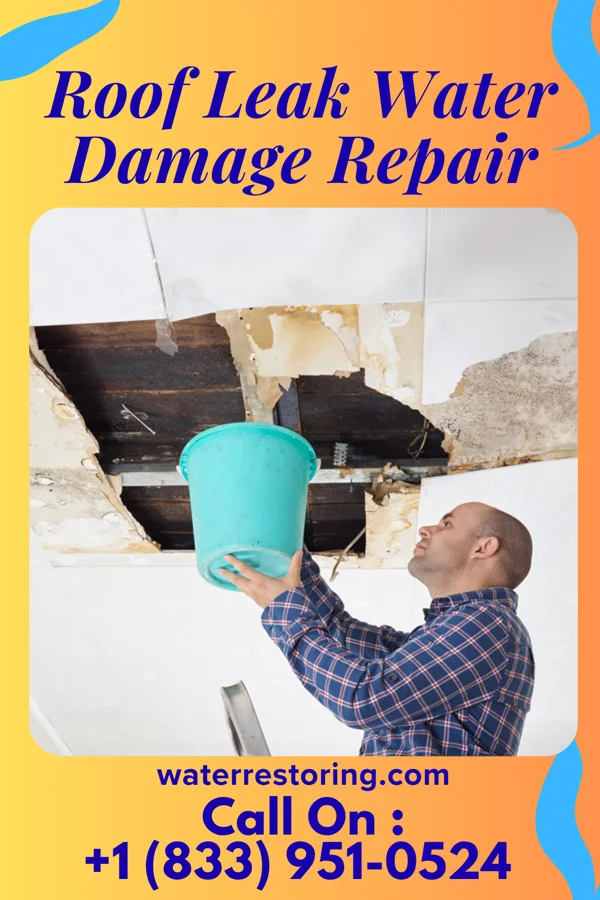 Roof Leak Water Damage Repair in Mineola, TX